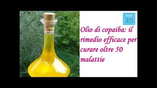 Olio di copaiba il rimedio efficace per curare oltre 50 malattie   Italy 365