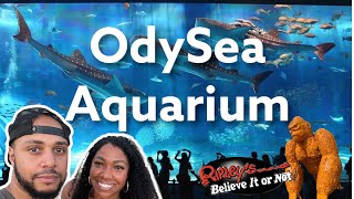 Visiting the Aquarium in Scottsdale Arizona || Couples Vlog