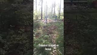 tesání trámů v lese