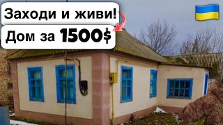 🇺🇦 Заходи и живи! Дом в селе за 1500$ Продажа недвижимости за копейки! Всё есть Уютное тихое село!