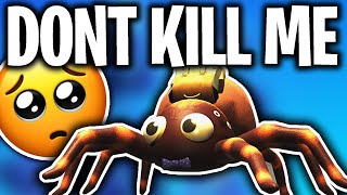 Would you kill this spider? - The Unwanted Helper