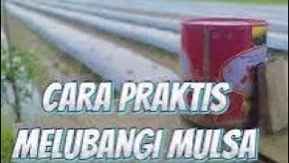 CARA PRAKTIS MELUBANGI MULSA MENGGUNAKAN BEKAS KALENG CAT