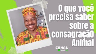 Candomblé e Umbanda | Consagração animal para Òrìṣà