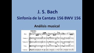 J. S. Bach. Cantata nº 156 BWV 156. Análisis de la Sinfonía.