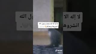 ٣٠ ديسمبر، ٢٠٢١