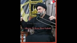 Ziarat E Imam Hussainع Ka Sawab Or Tareqa | Allama Ali Raza Rizvi | Majlis_2022