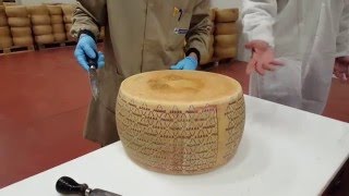 A la découverte du Grana Padano