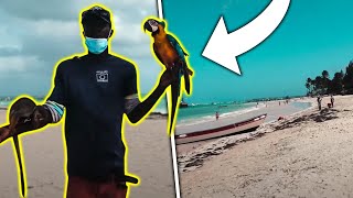 DOMINIKANA 2021 Punta Cana lepsza od La Romana !? Bonus Rico Travel na hasło Daniel Life ‼️