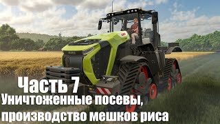 Farming Simulator 25 - Часть 7: Уничтоженные посевы, производство мешков риса