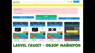 Larvelfaucet - обзор майнеров