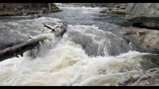 Wildcat Falls and The Great Lawn (Testing My New Gimbal