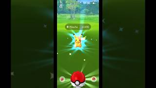 POKÉMON GO: WILD PIKACHU FLOWER CROWN SPAWN!!!