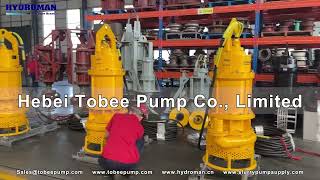 Analogue Toyo submersible slurry pump with agitator