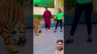 Tycoon larki ko dakh kar pagal ho gya #tiger #lion #animals #love #youtube #tamed #youtubeshorts