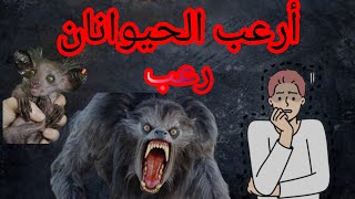 أرعب صور للحيوانات الأخيرة😱😱😱(الجزء2)