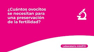 Preserva de la fertilidad: ¿cuántos ovocitos hay que vitrificar? | Laboratorio miniFIV