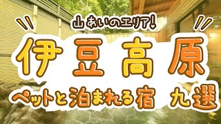 伊豆高原のペットと泊まれる宿おすすめ9選！山あいのエリアでのんびり過ごそう！