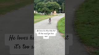 Toddler problems 😇 loves his blue bike #funny #toddlermoments #bike #eveningwalks