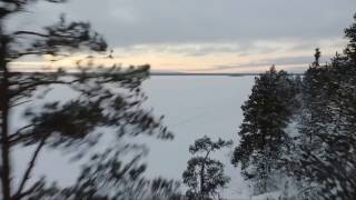 Winter forrest | quadcopter clip