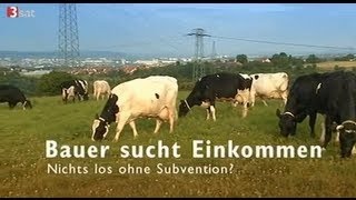 Bauer sucht Einkommen - Nichts los ohne Subvention ?