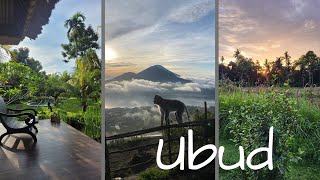 Vlog 22 - Backpacking Indonesien // Ubud