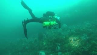 Wall dive @ Devil's Drop off - Port Phillip Bay, Victoria, Australia