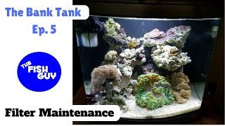 "The Bank Tank" Episode 5 - Filter Maintenance