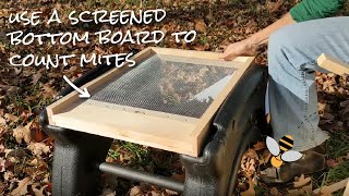 How (and Why) to Use a Screened Bottom Board