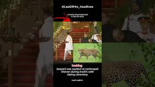 leopard was spotted at rashtrapati bhavan #shorts