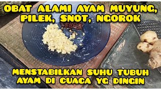 Snot, Muyung, Pilek dan Ngorok sembuh dengan obat Alami