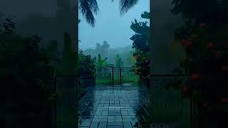 Manson season @home | #trending #status #mansoon #kerala