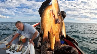 Epic 23 Mile Spearfishing Adventure: On An Exciting Fishing Trip