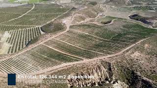 Parcela de cultivo en Cuevas del Almanzora, 8€ el metro, negociables