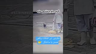 لایک یادتون نره عزیزان 👍 #طنز #فان #اتفاق #کلیپ #shortvideo #نجات #جنگل #خطر