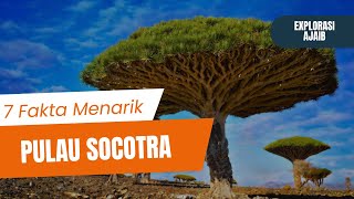 7 Fakta Menarik Tentang Pulau Socotra | Explorasi Ajaib