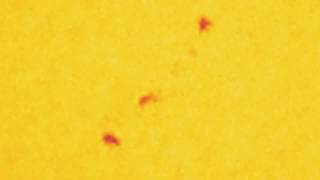 Thermal Imaging Solar Astronomy 10 Large sunspots 20.8.17.     1