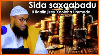 Sida Saxaabadu ilaalin jirtay Xoolaha ummada Muslimiinta sheekh maxamuud xaliike