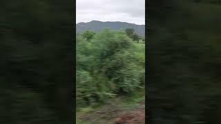 Koyna express travel to village