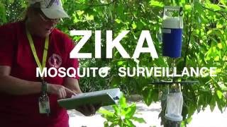 Zika Virus Mosquito Control