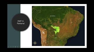 Brazil's Pantanal: Jaguars and More...ZOOM webinar by guide Carlos Sanchez.