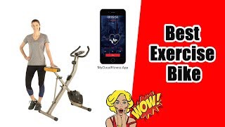 Best Exercise Bike 2019 - Exerpeutic Folding Magnetic Upright Exercise Bike