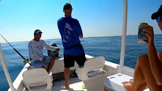 increíble día de pesca, muchos dorados y pez velas en Ixtapa Zihuatanejo.🎣