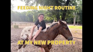 NIGHT ROUTINE *FEEDING ALL MY PETS*