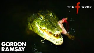 Visiting A Crocodile Farm! 🐊 | The F Word | Gordon Ramsay