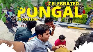 Pongal Celebration || Mattu Pongal || Grand Tamil Special Festival Celebrates in college