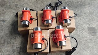 Đông cơ rung đầm rung 0.02kW đến 2.2kW 3Hp | Thanhthaimotor.com