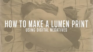 How To Make A Lumen Print From A Digital Negative - Darkroom Photography And Printing For Beginners