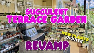 SUCCULENT TERRACE GARDEN REVAMP | SUCCULENT BALCONY GARDEN | By Intri's TV