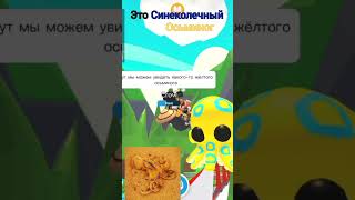 новая абнова в адопт #roblox #adoptme