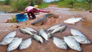 Fisherman catch fish on the road- Best hand fishing